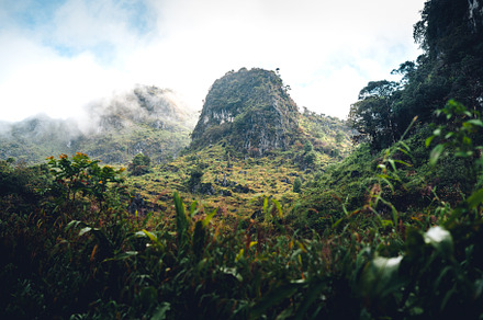 Green mountain and fog in nature, a Nature Photo by Art Rachen