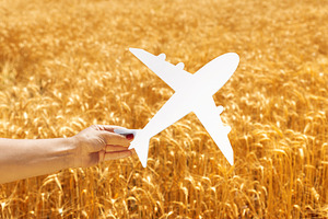 Female hand holding a white airplane cutout against a golden whe, a Transportation Photo by Ales Munt
