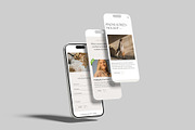 iPhone Screen Mockup, an iPhone Mockup by Amigos__46 (Thumbnail 3 of 10)