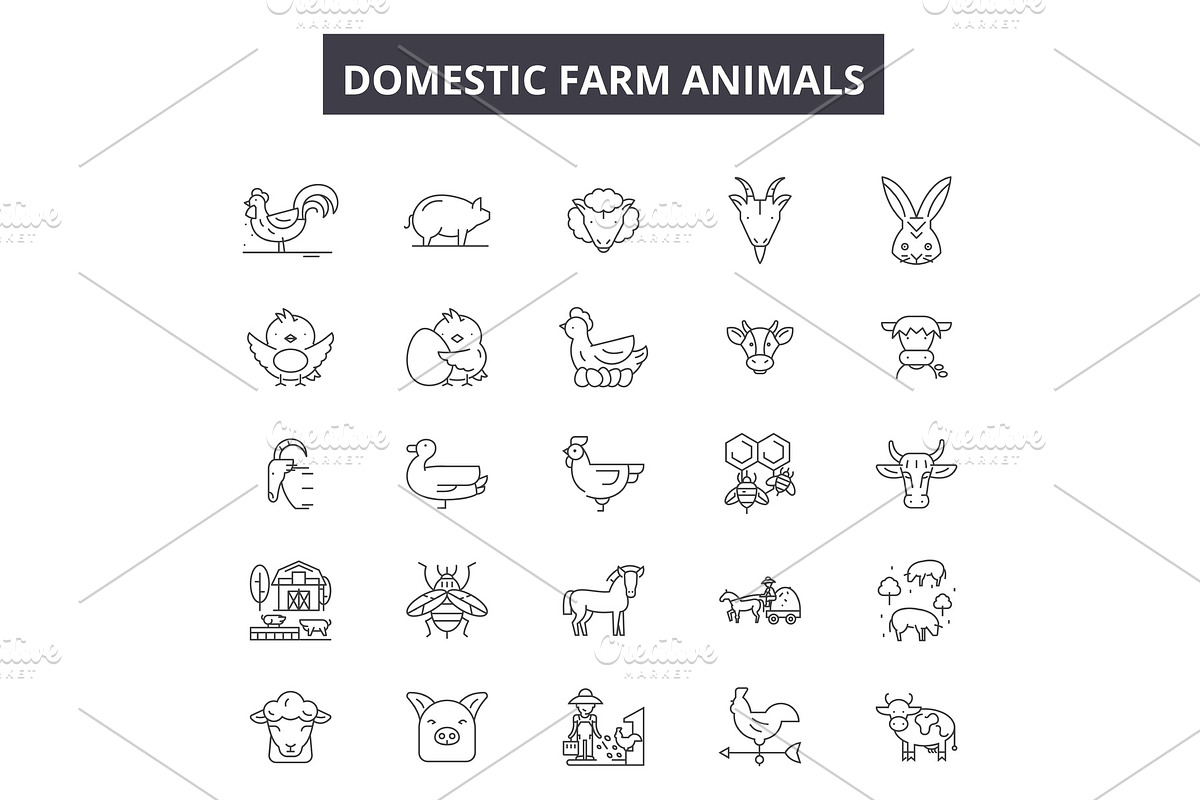Domestic farm animals line icons, an Animal Illustration by urban icon