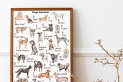 Dogs Alphabet, clipart & patterns, an Animal Illustration by Visual Animal (Thumbnail 2 of 8)