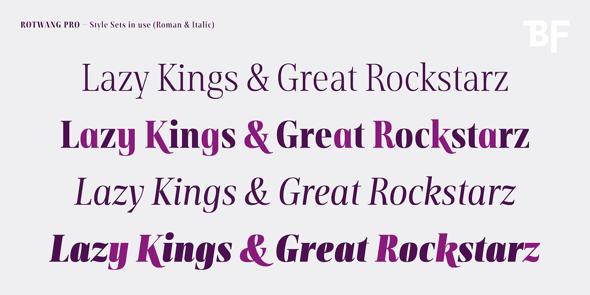 BF Rotwang Pro, a Serif Font by BrassFonts (Photo 9 of 15)