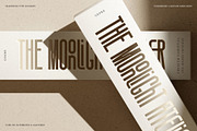 SLTF Snowpack - Ultra Condensed Font, a Sans Serif Font by SilverStag Type Foundry (Thumbnail 6 of 30)
