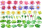 Lotus flowers and koi fish, an Animal Illustration by Hanna Hryharenka (Thumbnail 4 of 13)