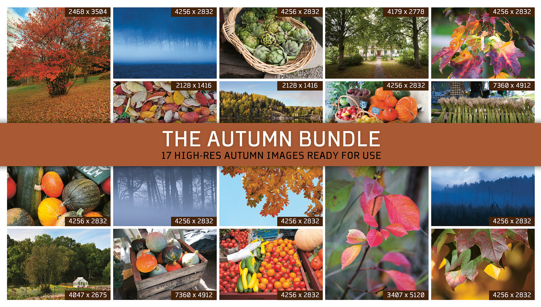 THE AUTUMN BUNDLE