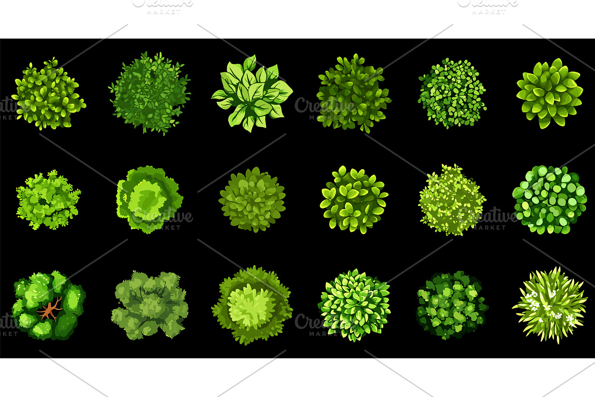 Top view green bushes shrubs and, an Illustration by Valerie Bodnar
