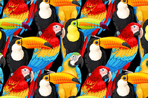 Macaw And Toucan Patterns