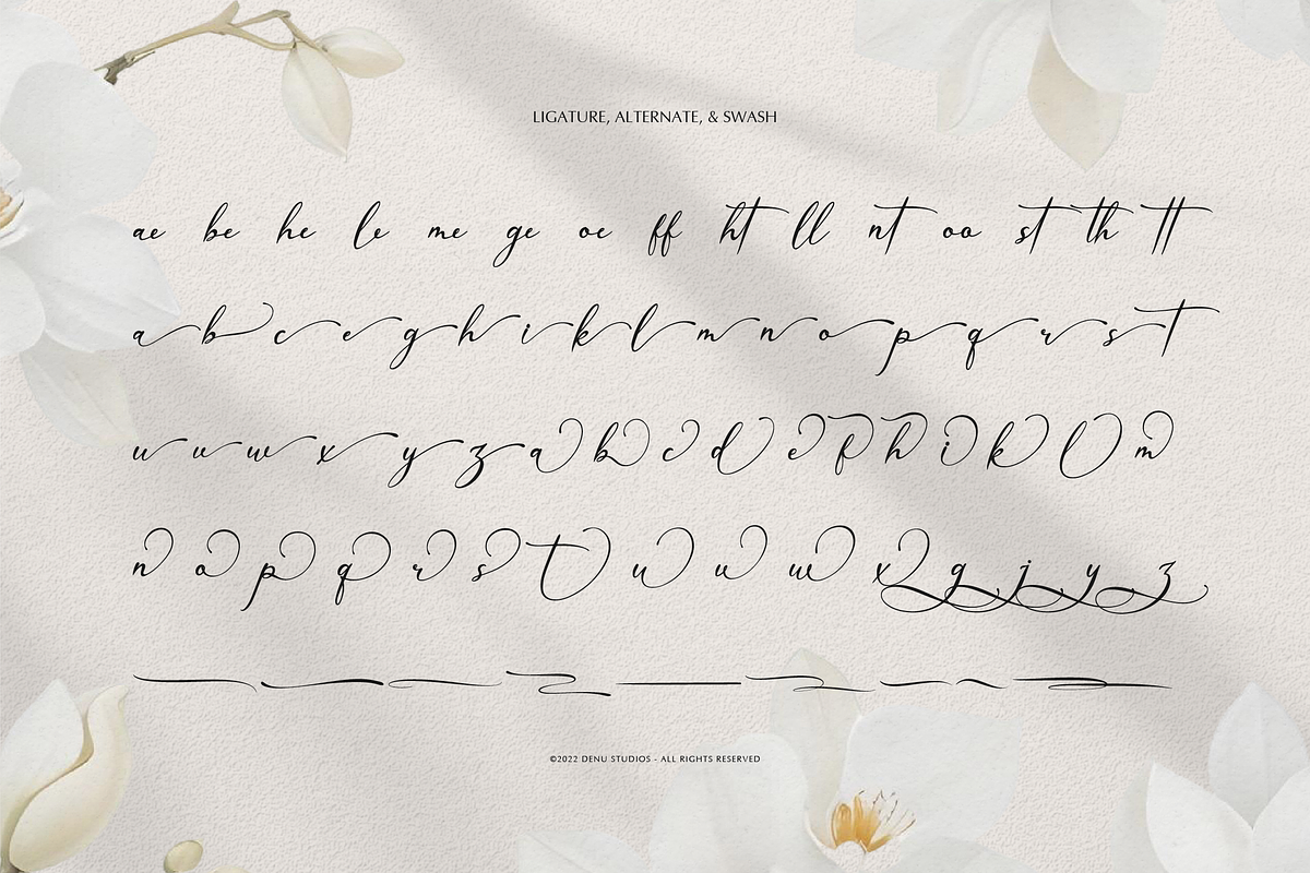 Willsyard | Modern Calligraphy, a Script Font by Denustudios (Photo 11 of 12)