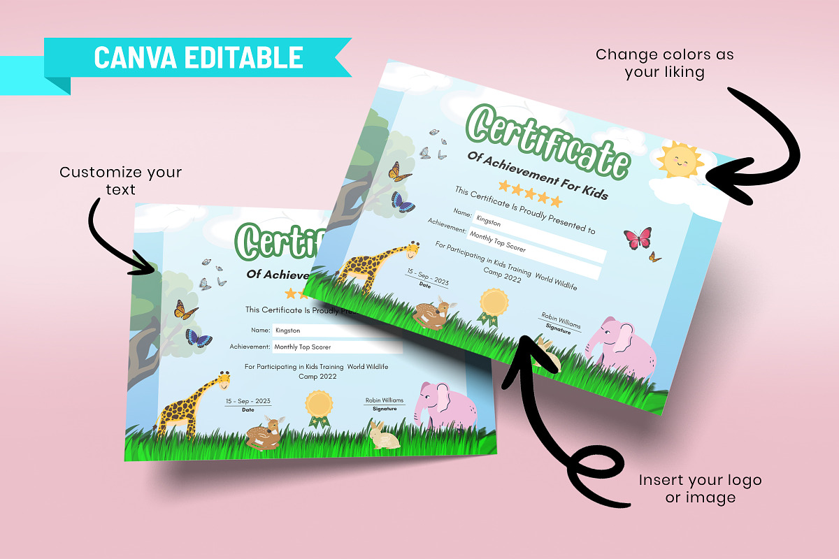 Customizable Child Certificate, a Templates & Theme by Snapybiz (Photo 4 of 8)