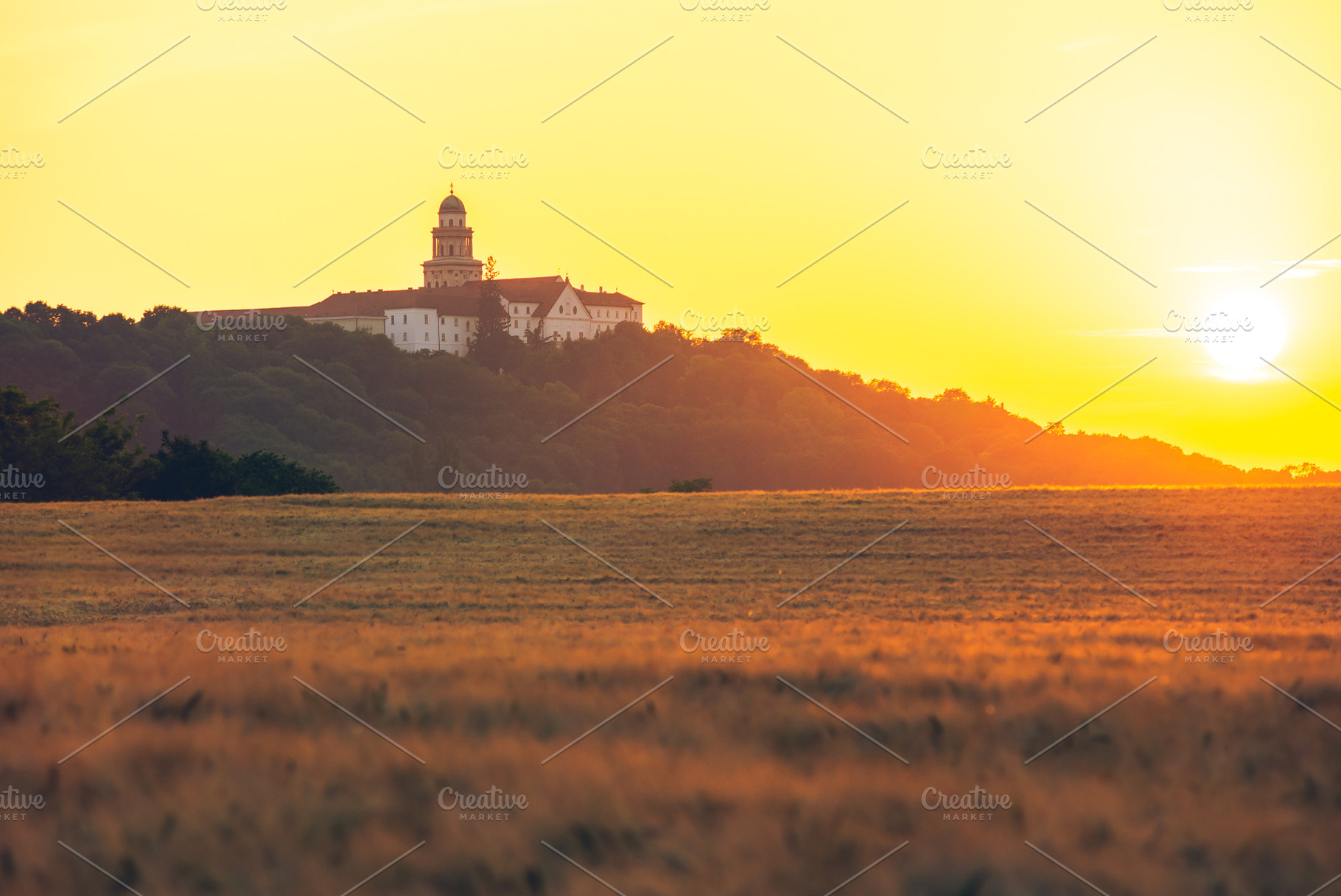 Pannonhalma Archabbey, Hungary, a Holiday Photo by Mark Borbely