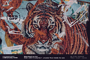 85% OFF Complete Textures Collection, a Texture Graphic by nicholasasmita (Thumbnail 5 of 11)