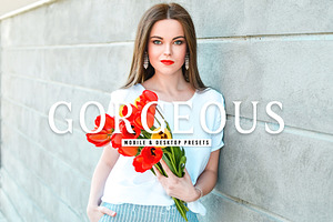 Gorgeous Pro Lightroom Presets