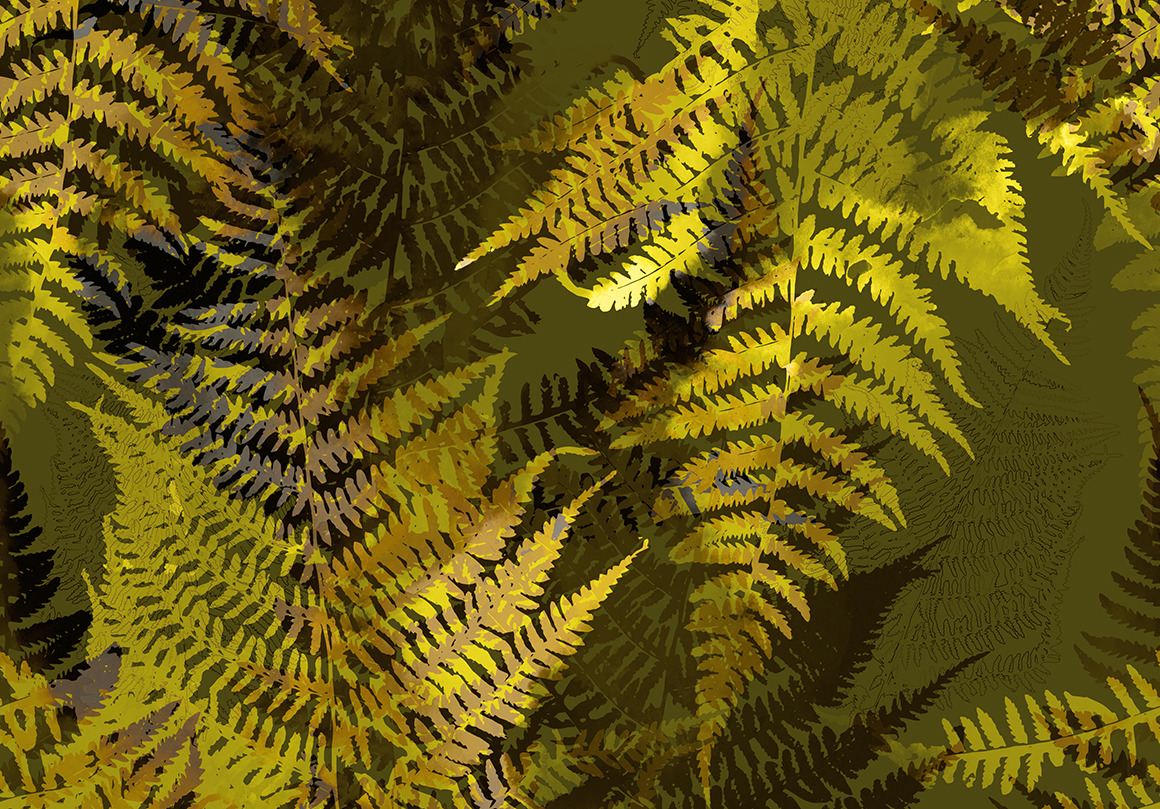 fern seamless pattern | JPEG, a Pattern Graphic by Digital and ...