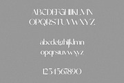 Cengio - Elegant Display Sans Serif, a Sans Serif Font by spectertype (Thumbnail 7 of 8)
