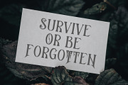 Qlastroy Modern Blackletter Display, a Blackletter Font by Maulana Creative (Thumbnail 2 of 7)