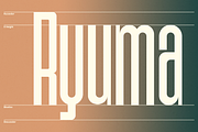 Gendar - Condensed Font Family, a Sans Serif Font by Pandeka Studio (Thumbnail 5 of 12)