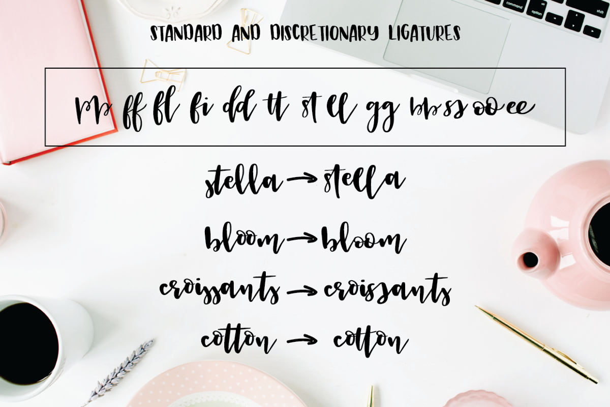 Castelo Script + 5 Branding Boards preview 2