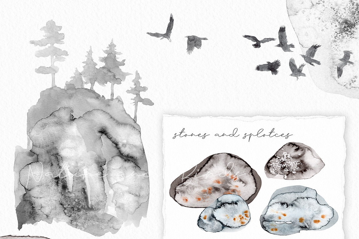 Watercolor Nature and Birds set, an Illustration by Alamella (Photo 5 of 13)