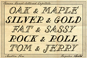Austin Pen, a Script Font by Three Islands Press (Thumbnail 5 of 9)