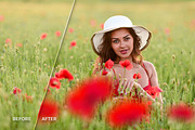 17 Poppie Flowers Photo Overlays preview 4