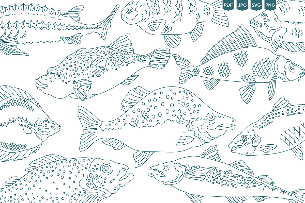 Seafood & Fish Vector Pack, an Animal Illustration by Ilia Design (Photo 8 of 10)
