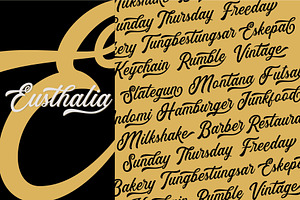 Eusthalia Typeface Family 6 Fonts