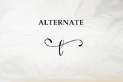 Smitson | Script Font, a Handwritten Font by Scratchones (Thumbnail 8 of 9)