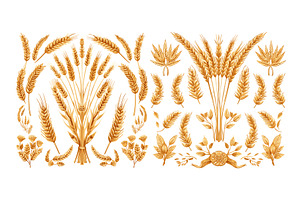 Wheat rye ears cartoon vector, a Food Illustration by Stock-Smart-Start