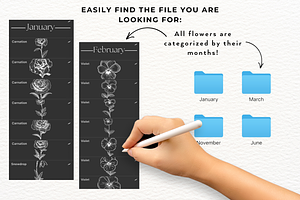 135 Birth Flowers PNG SVG Procreate