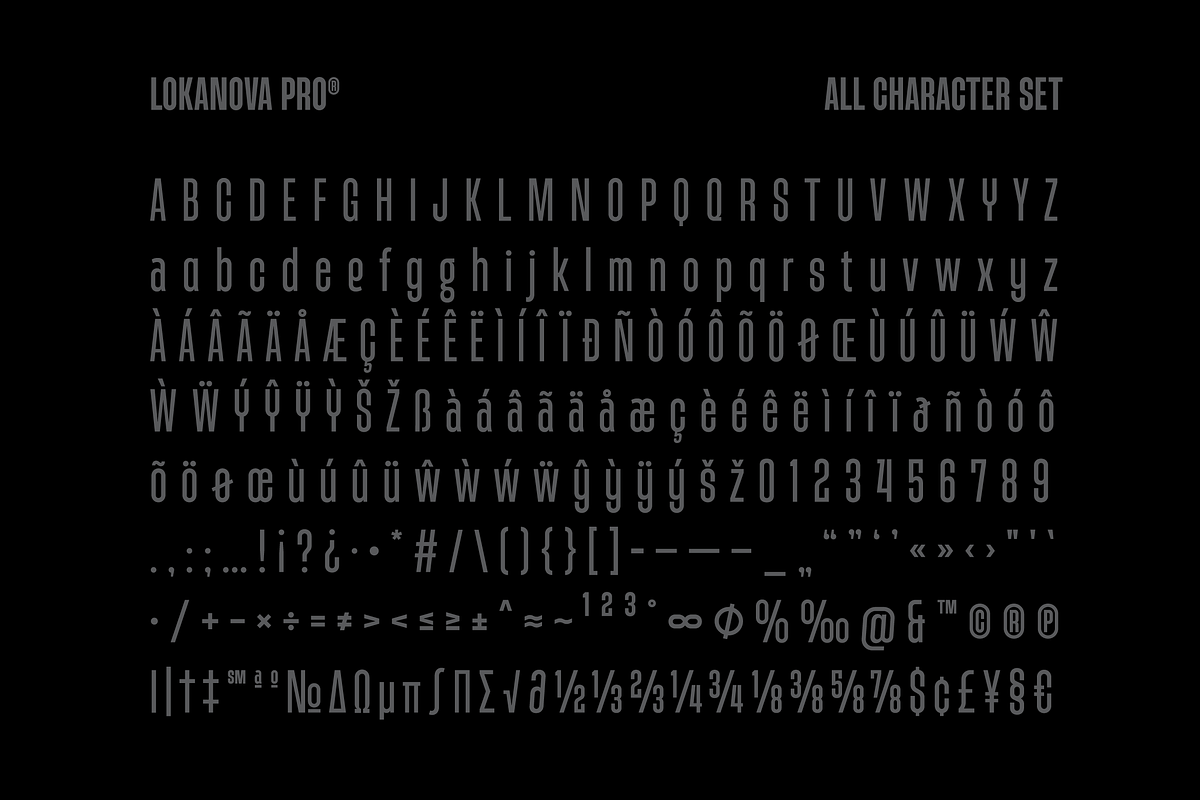 Lokanova Pro - Sans Serif Font, a Sans Serif Font by limitype (Photo 14 of 15)