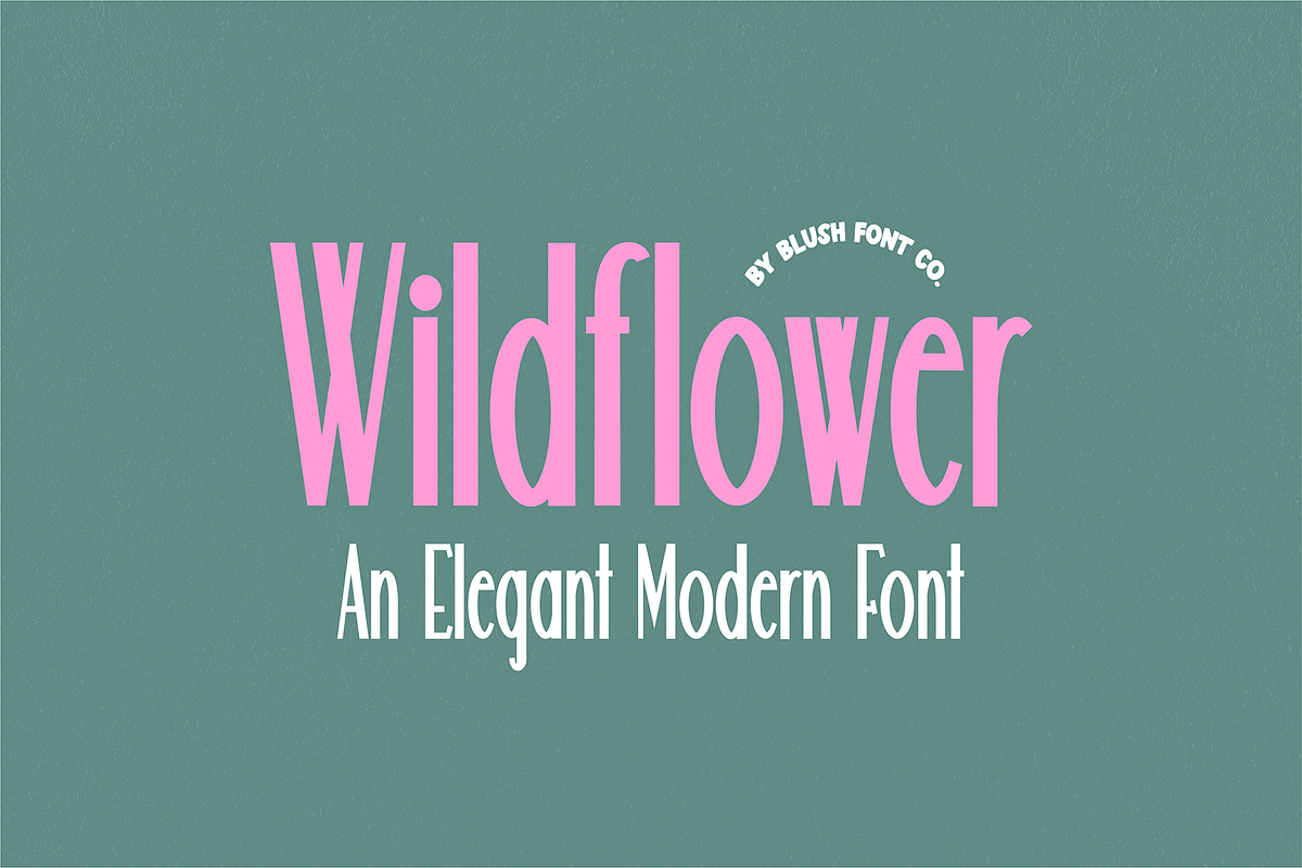 WILDFLOWER Modern Font, a Sans Serif Font by Blush Font Co. (Photo 1 of 3)
