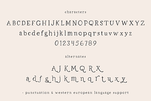 Honeyland Serif Font