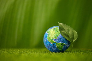 Globe with Green Leaf on Green Nature background. Environmental, a Photo by salmon.black