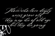 Amora Calligraphy Font, a Script Font by Analogous (Thumbnail 2 of 9)