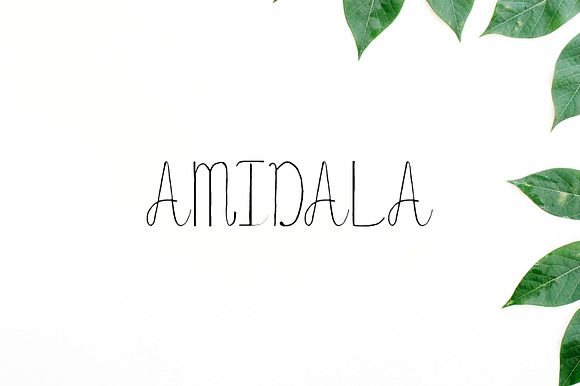 Amidala Script Font preview 7