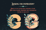 Procreate Design Brush Stamp Kit 1, a Brush Add-On by Debi Sementelli (Thumbnail 9 of 30)