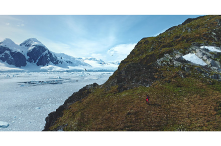 Man hiking Antarctic mountains green, a Sports & Recreation Photo by Mozgova