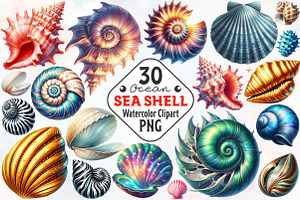 Ocean Sea Shell Sublimation Clipart, an Illustration by RobertsArt