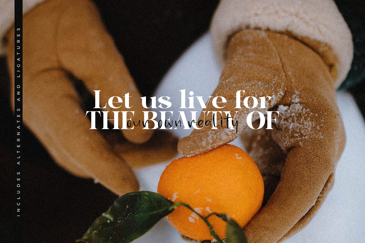 Bagife Modern Serif Font, a Serif Font by Storytype Studio (Photo 11 of 15)