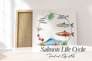 Watercolour Salmon Life Cycle Set