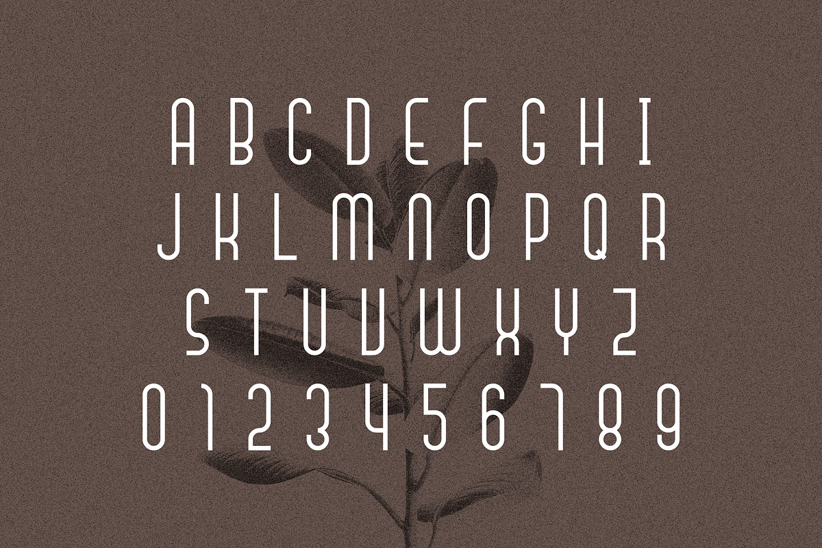 Signaline - Font Duo + Extras, a Script Font by Typehand Studio (Photo 10 of 16)