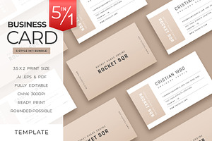 Professional Clean Business Card V56