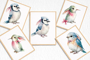 Watercolor Spring Birds Clipart, an Illustration by DreamArtGraphic (Thumbnail 8 of 8)