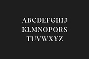 Aluvion Display Modern Serif Font, a Serif Font by UICreative (Thumbnail 6 of 12)