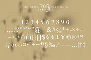 Flora | Modern Display Font, a Serif Font by Kandella's Art (Thumbnail 16 of 18)