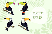Toucan Birds + Bonus Patterns, an Animal Illustration by Imaginasty (Thumbnail 3 of 5)