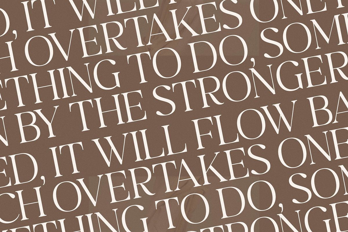Begifta New Modern Serif Font, a Serif Font by Letterena Studios (Photo 8 of 15)