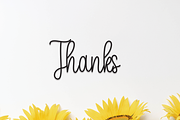 Daddy Bee | Script Font, a Script Font by Scratchones (Thumbnail 2 of 8)