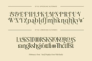 Fibonacci | Serif With Italic Font, a Serif Font by The_Type (Thumbnail 10 of 12)