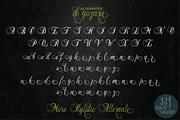 De Gozaru, a Script Font by Bijeh Studio (Thumbnail 7 of 8)